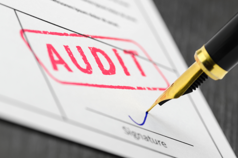 What Is an Audit? What Is an Audit?