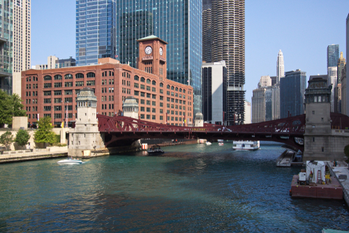 Do You Have Back Taxes In The State of Illinois?